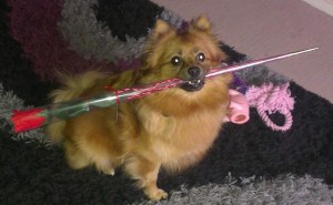 Screenshot_20190210-140329__01